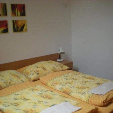 Penzion Barina Dolní Dunajovice Camera foto