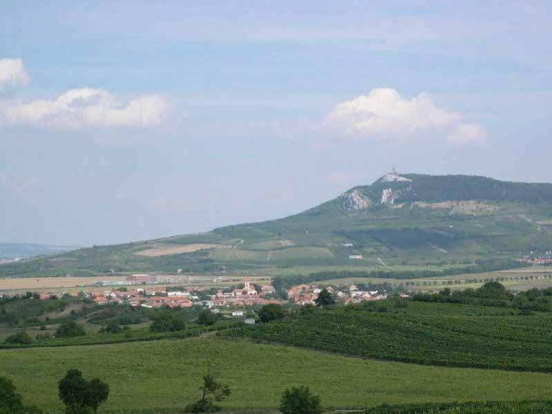 Penzion Barina Dolní Dunajovice Esterno foto